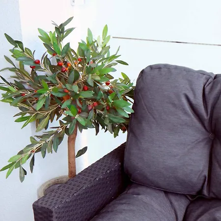 Apartament Heidi-apartament Kołobrzeg